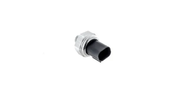 ASE22000P Mahle Original