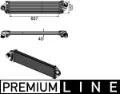 CI190000P Mahle Original