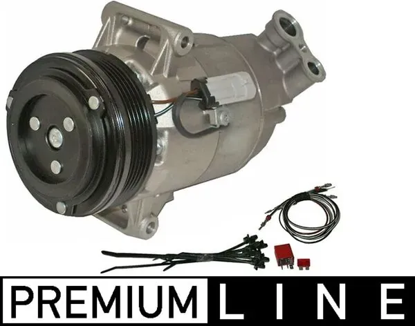 ACP49000P Mahle Original