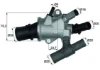 TI16888 Mahle Original