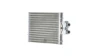 CLC74000P Mahle Original