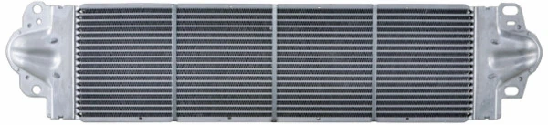 CI80000P Mahle Original
