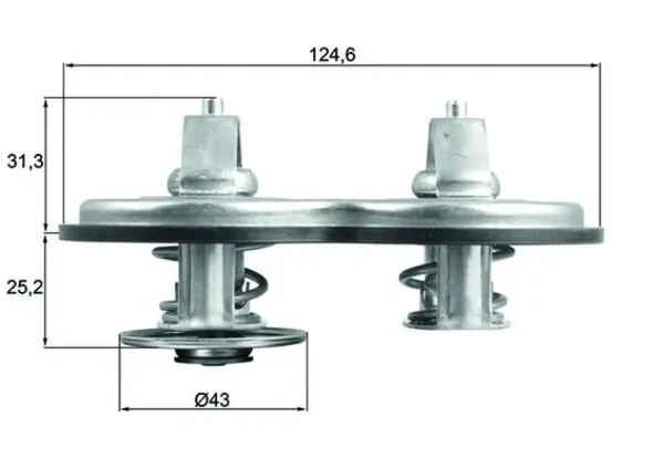 TX14183 Mahle Original
