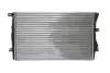 Radiador de esfriamento de motor Skoda Octavia 1Z3