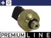 ASE22000P Mahle Original