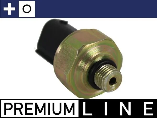 ASE22000P Mahle Original