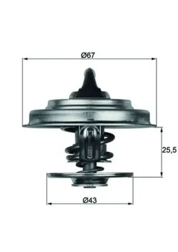 TX1887D Mahle Original termostato