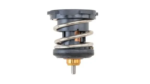 TX25287 Mahle Original