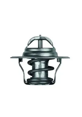 Termostato Nissan Trade