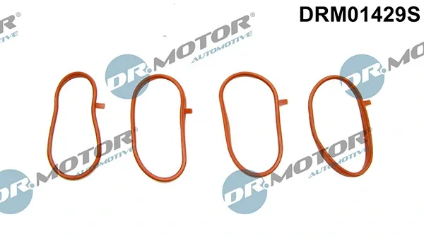 Vedante de tubo coletor de admissão DRM01429S Lizarte