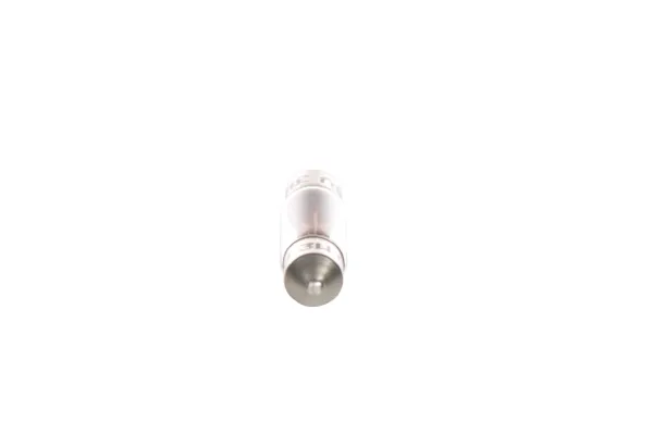 Lâmpada 1987302528 Bosch