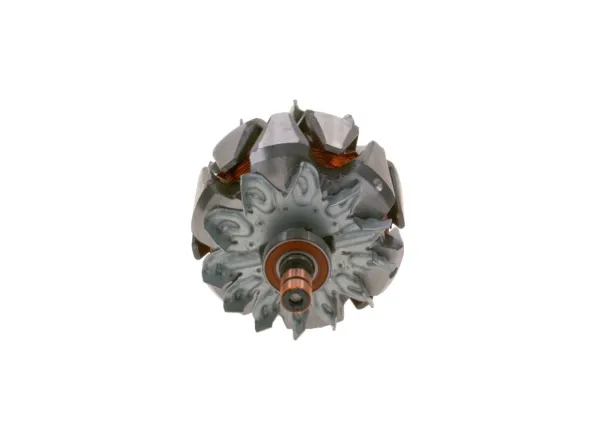 Induzido (rotor) do gerador F00M131642 Bosch