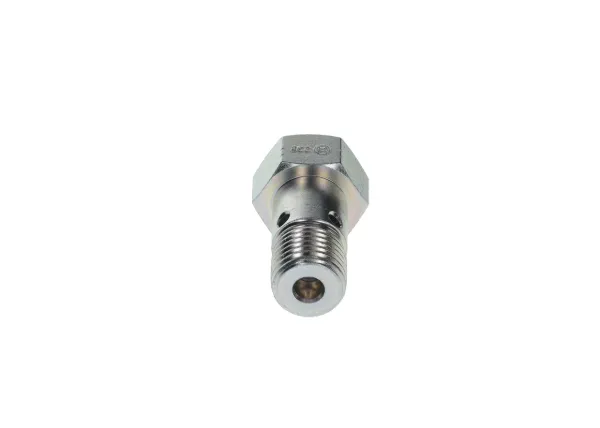 Válvula de derivação de combustível (parafuso banjo) 2417413082 Bosch