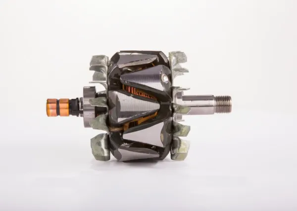 Induzido (rotor) do gerador F00M121610 Bosch