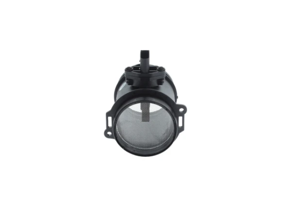 0281002493 Bosch