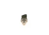 0281006035 Bosch