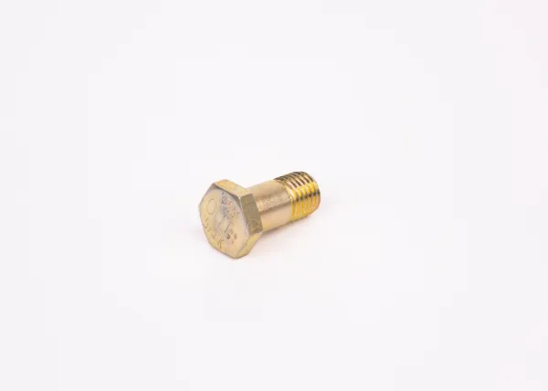 Parafuso F002D13579 Bosch