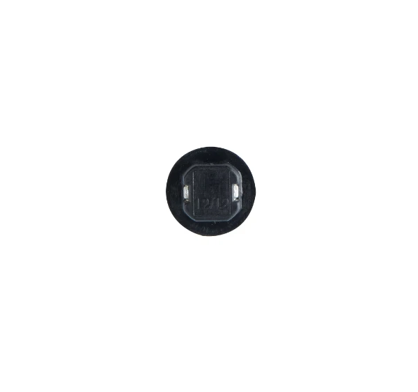 1 987 302 219 Bosch lâmpada