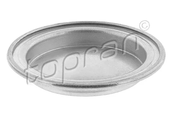 Tampão CBC/do bloco de cilindros Fiat 500 312