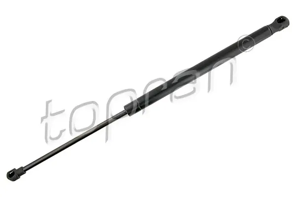 Amortecedor de tampa de porta-malas (de 3ª/5ª porta traseira) Fiat 500 312