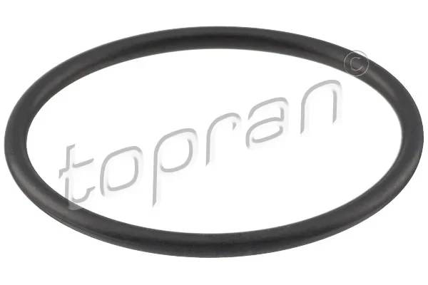 Vedante de termostato para Volkswagen Polo (6N2)