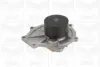 Bomba de água (bomba) de esfriamento Land Rover Freelander 1 LN