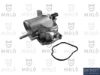 TER140 Akron Malo