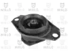 Coxim (suporte) traseiro de motor Fiat Brava 182