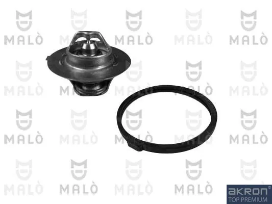 Termostato TER269 Akron Malo