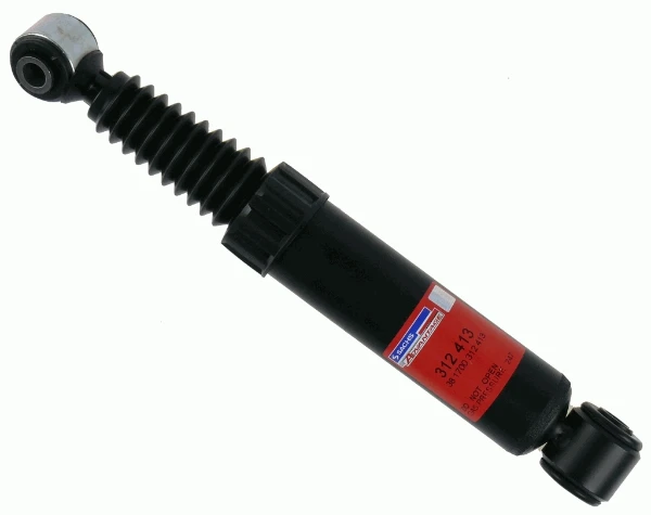 312413 Sachs