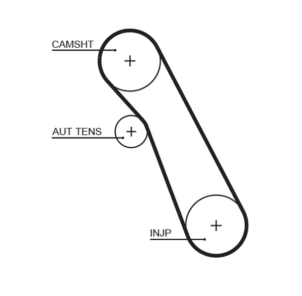 Correia do mecanismo de distribuição de gás, kit para Ford Focus (DNW)