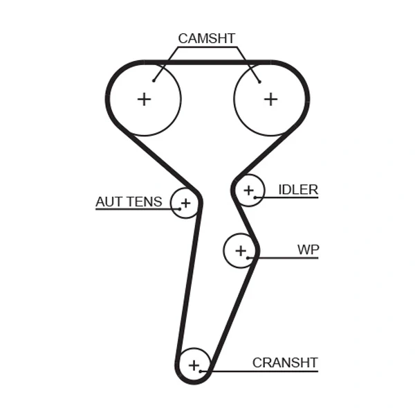 Correia do mecanismo de distribuição de gás para Renault Laguna (B56)