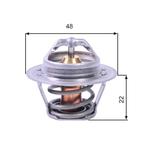Termostato para Ford Escort (ALD)