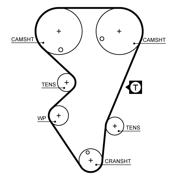 Correia do mecanismo de distribuição de gás 81640 Peugeot/Citroen