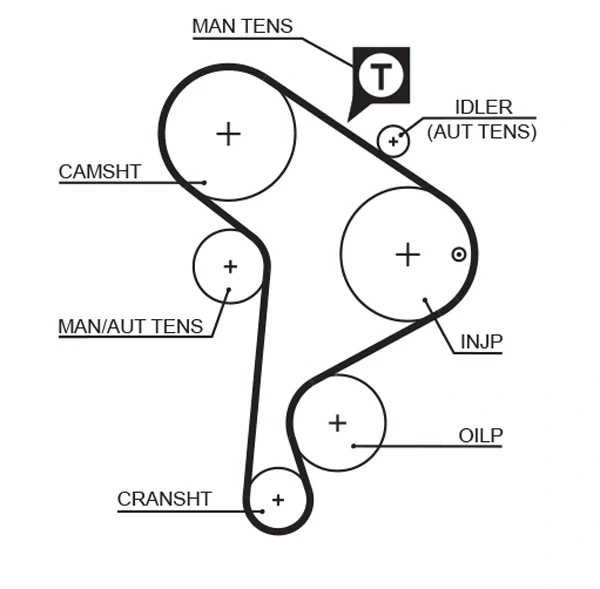 Correia do mecanismo de distribuição de gás, kit para Volkswagen Polo (6KV2)
