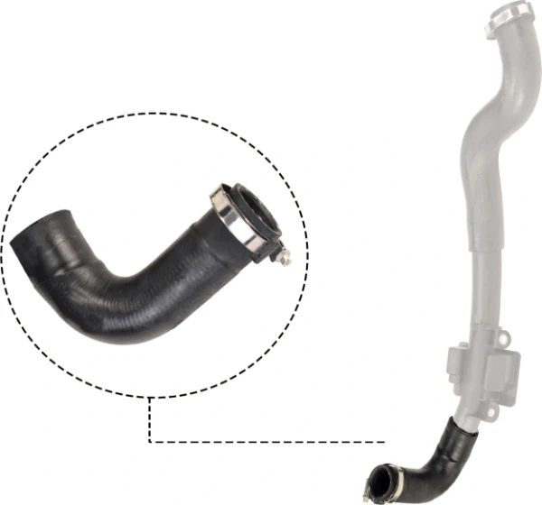 Mangueira (cano derivado) direita de intercooler para Renault Kangoo (KW01)