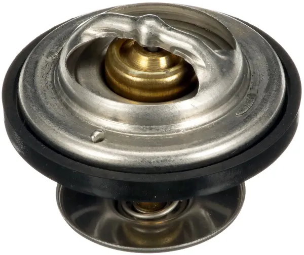 Termostato MAN TGX I