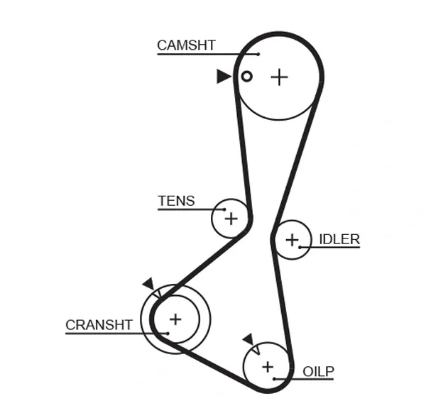 Correia do mecanismo de distribuição de gás 5374XS Gates