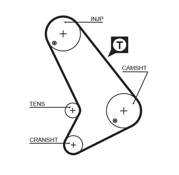 Correia do mecanismo de distribuição de gás, kit para Ford Transit (T)