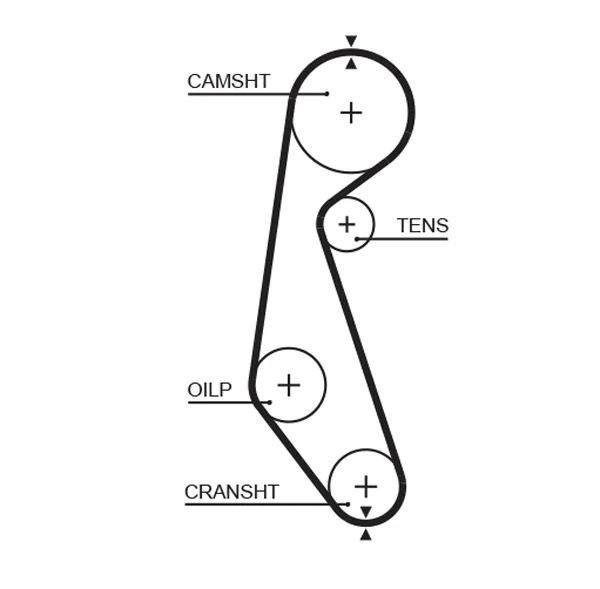 Correia do mecanismo de distribuição de gás, kit para Nissan Sunny (N13)