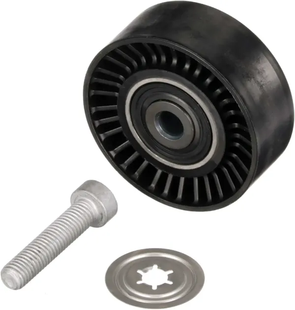 Rolo parasita da correia de transmissão 532050510 LUK