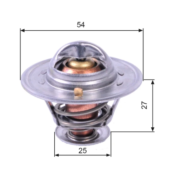 Termostato para Opel Movano (H9)