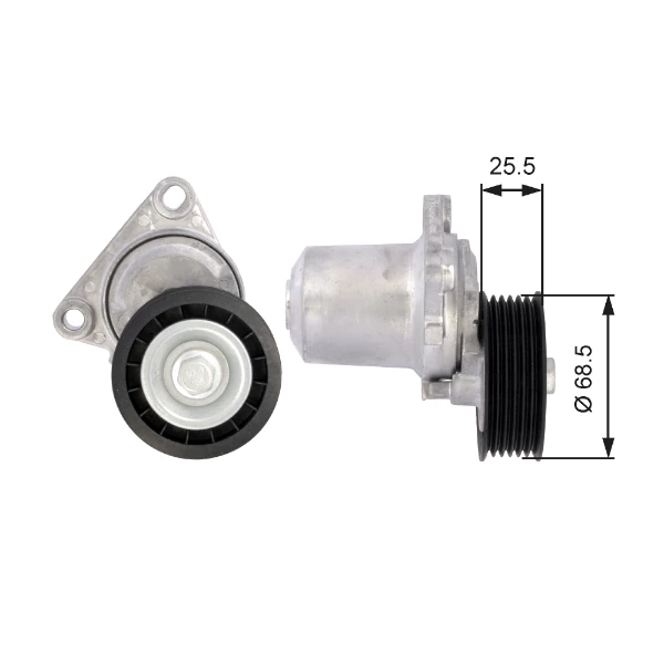 Reguladora de tensão da correia de transmissão para Mazda CX-7 (ER)