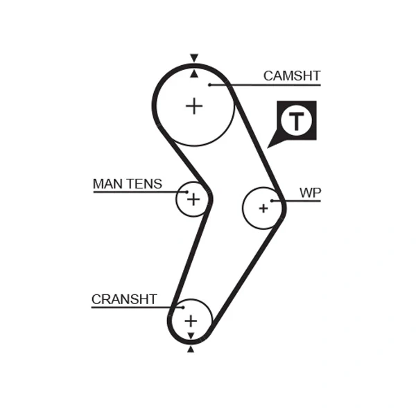 Correia do mecanismo de distribuição de gás, kit para Renault 19 (L53)