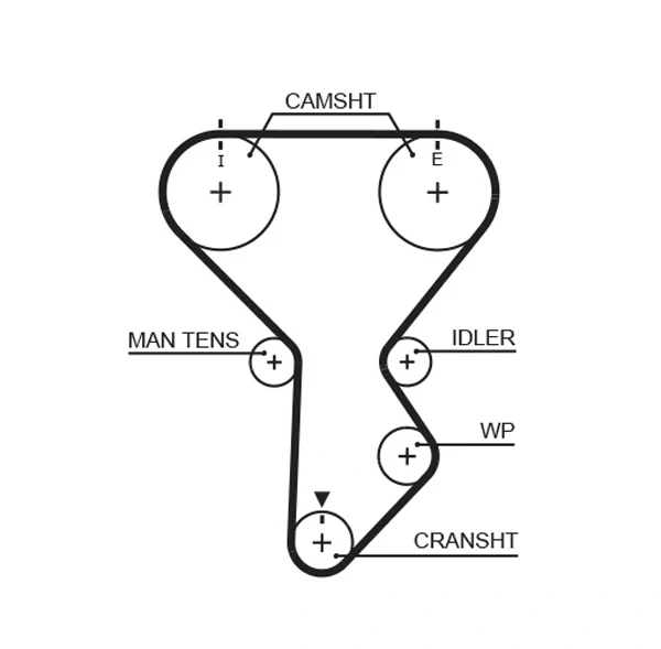 Correia do mecanismo de distribuição de gás, kit para Mazda 626 (GD)