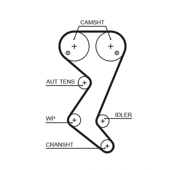 Correia do mecanismo de distribuição de gás, kit para Citroen C4 (B73)