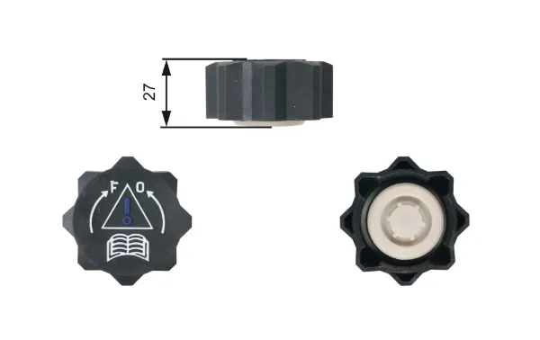 Compre Tampa (tampão) do tanque de expansão Citroen Xsara  N1