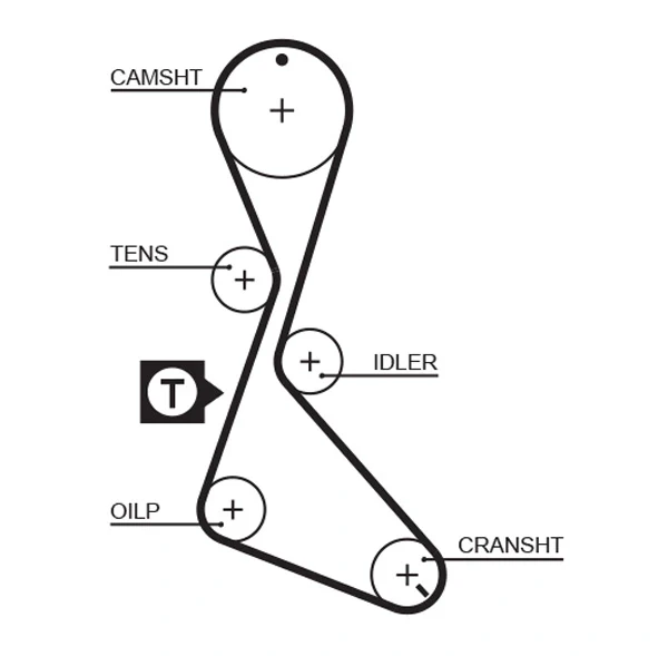 Correia do mecanismo de distribuição de gás, kit para Renault 19 (D53, 853)