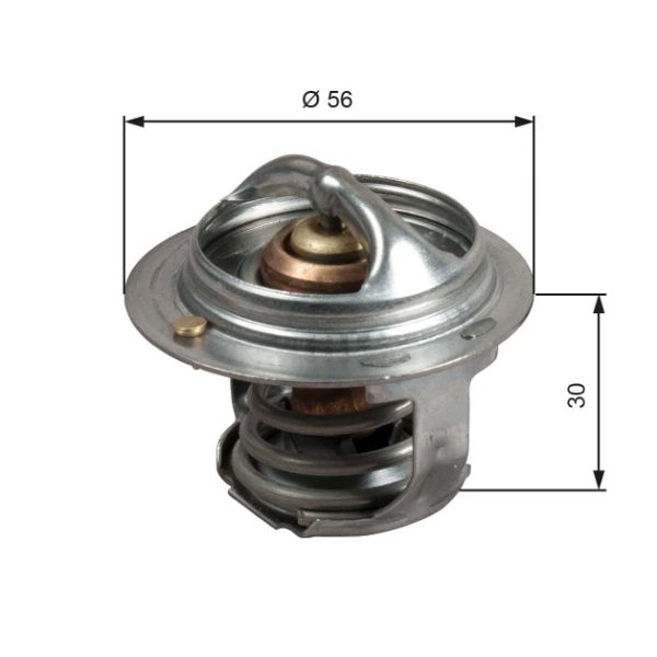 Termostato para Subaru XV (GP)