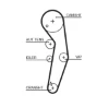 K055569XS Gates